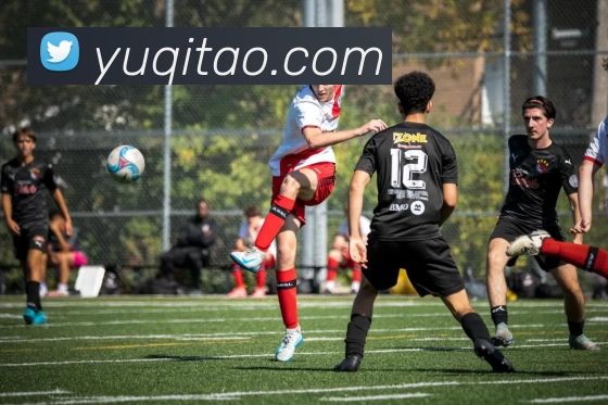 App Interface Preview